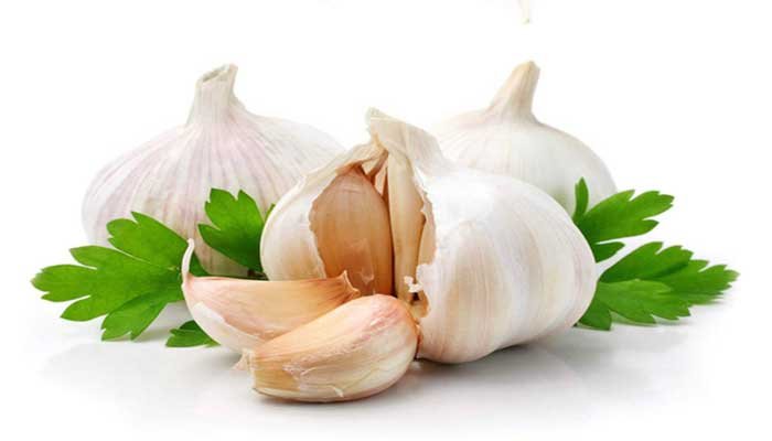the benefits of Garlic